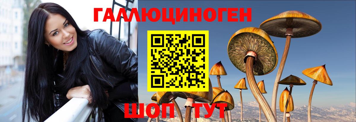 Псилоцибиновые грибы GOLDEN TEACHER  Вход с VPN  Красногорск 