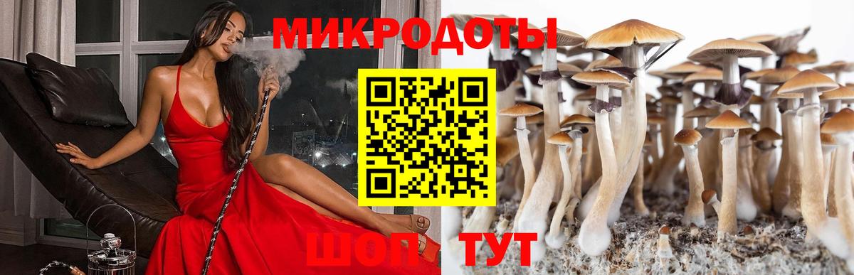 Галлюциногенные грибы Cubensis Красногорск